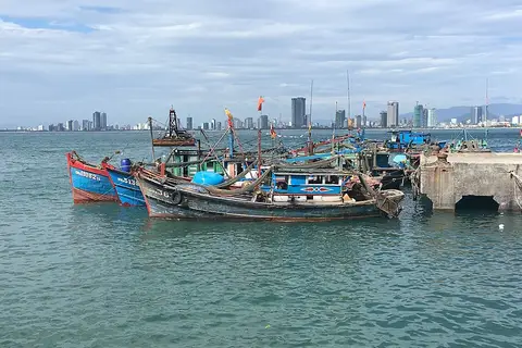 Tàu cá ở cảng Thọ Quang, phía sau là thành phố Đà Nẵng